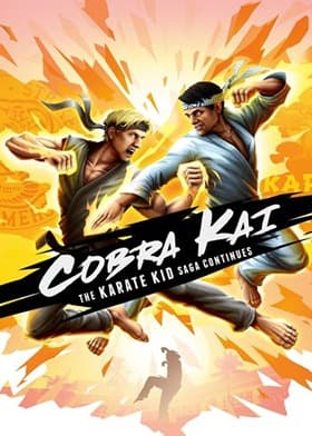 Cobra Kai The Karate Kid Saga Continues